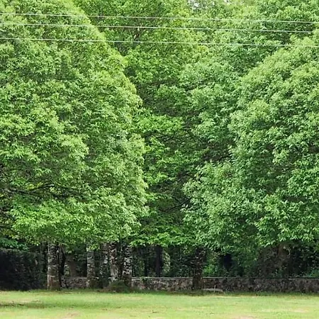 La Cuevona De Guitiriz,parga, En El Camino Norte Lugo Parga