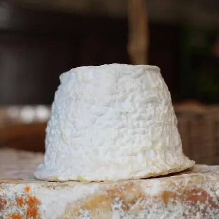 La Cuevona De Guitiriz,parga, En El Camino Norte Lugo