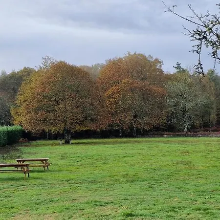 La Cuevona De Guitiriz,parga, En El Camino Norte Lugo *