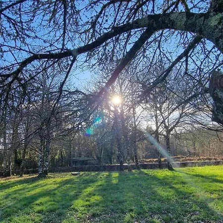 La Cuevona De Guitiriz,parga, En El Camino Norte Lugo 乡村民宿