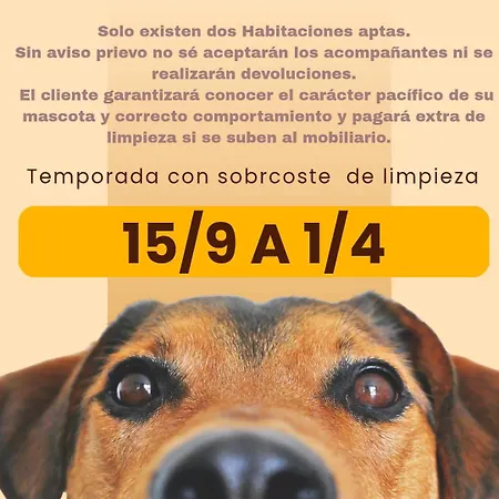 La Cuevona De Guitiriz,parga, En El Camino Norte Lugo Parga