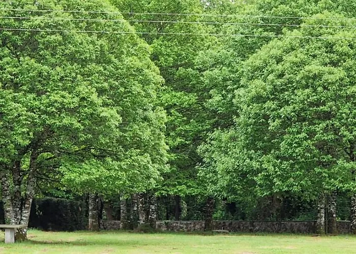 La Cuevona De Guitiriz,parga, En El Camino Norte Lugo Parga