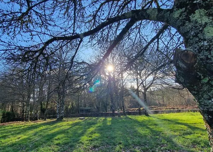 La Cuevona De Guitiriz,parga, En El Camino Norte Lugo Εξοχικό σπίτι