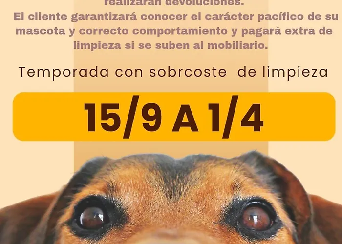 La Cuevona De Guitiriz,parga, En El Camino Norte Lugo Parga